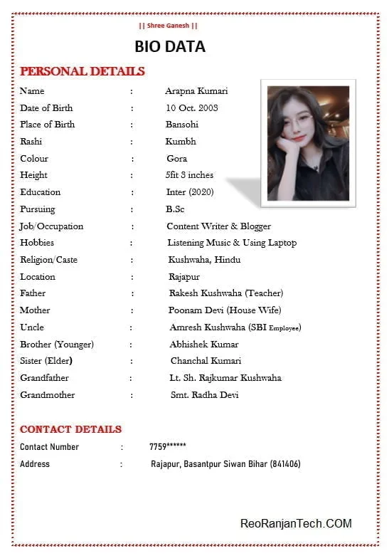 Simple Biodata Format in Word